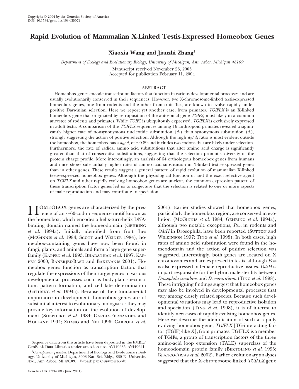 Rapid Evolution of Mammalian X-Linked Testis-Expressed Homeobox Genes