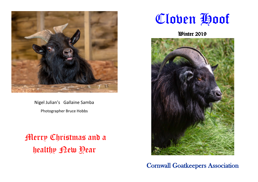 Cloven Hoof Winter 2019