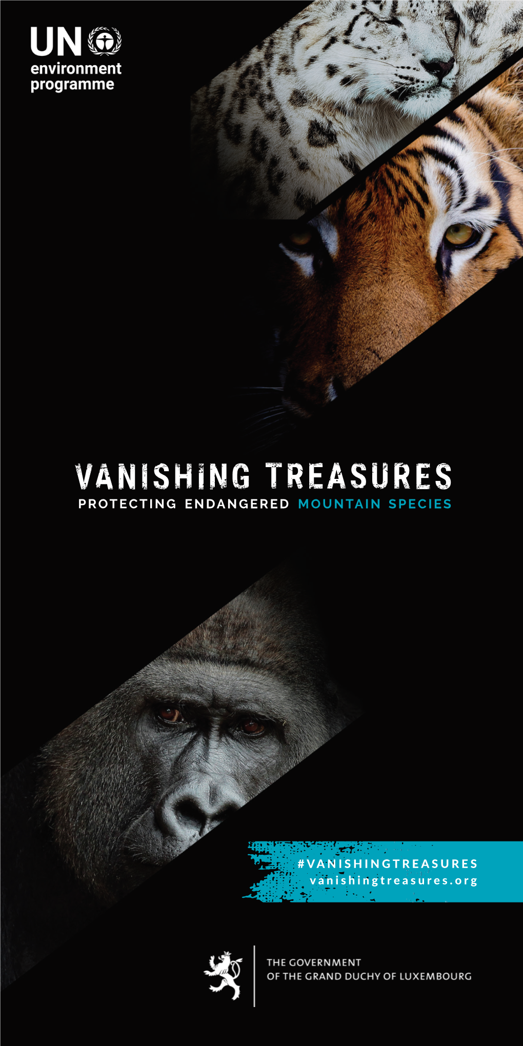 Vanishing Treasures