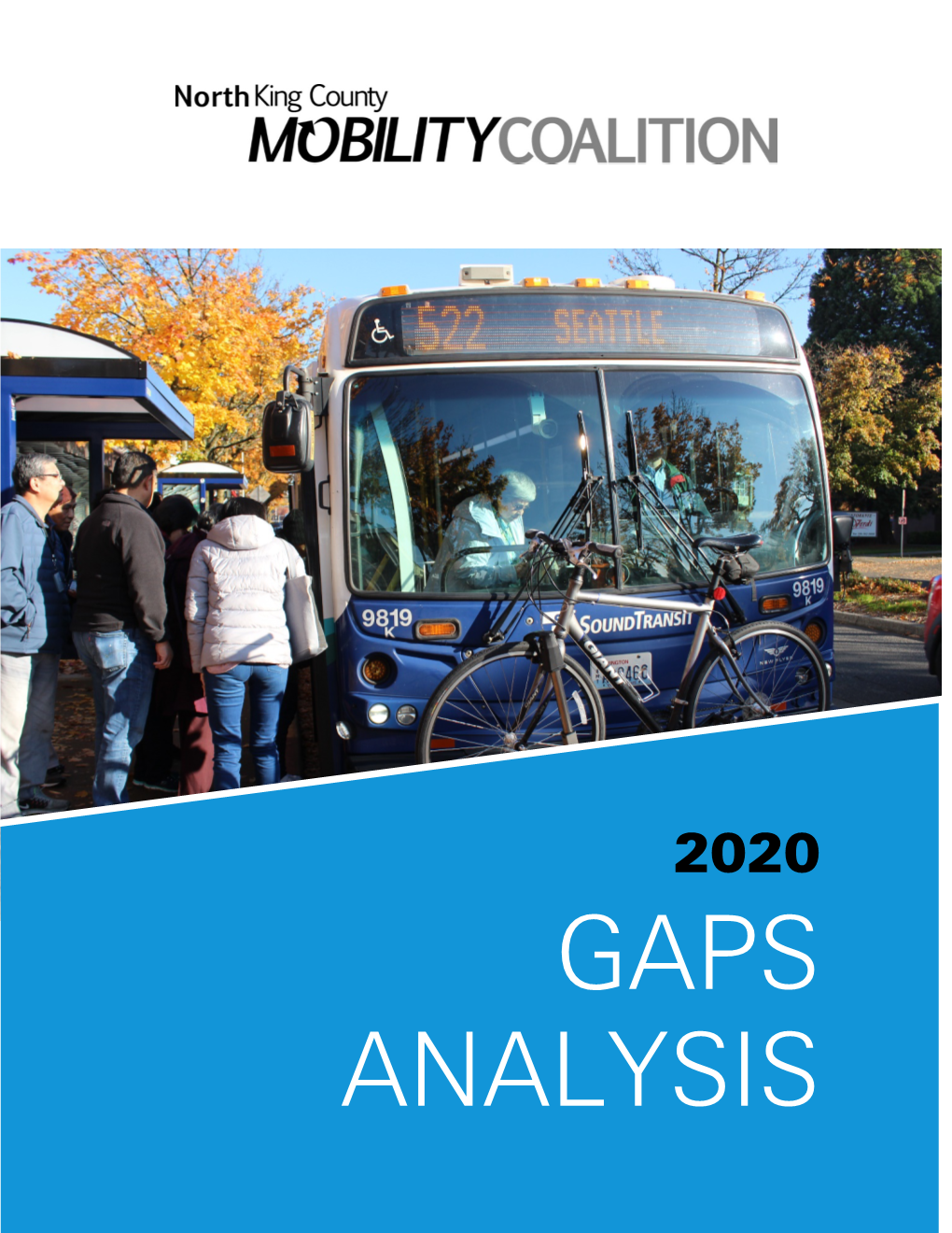 2020 Gaps Analysis Executive Summary