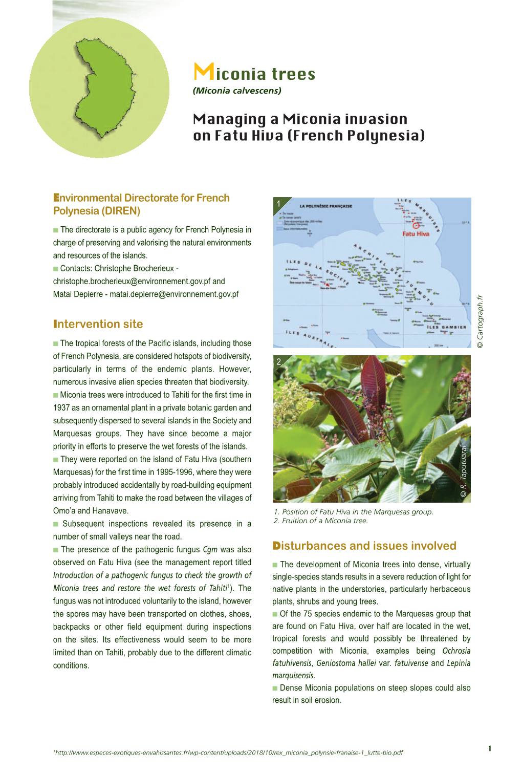 Managing a Miconia Invasion on Fatu Hiva (French Polynesia)