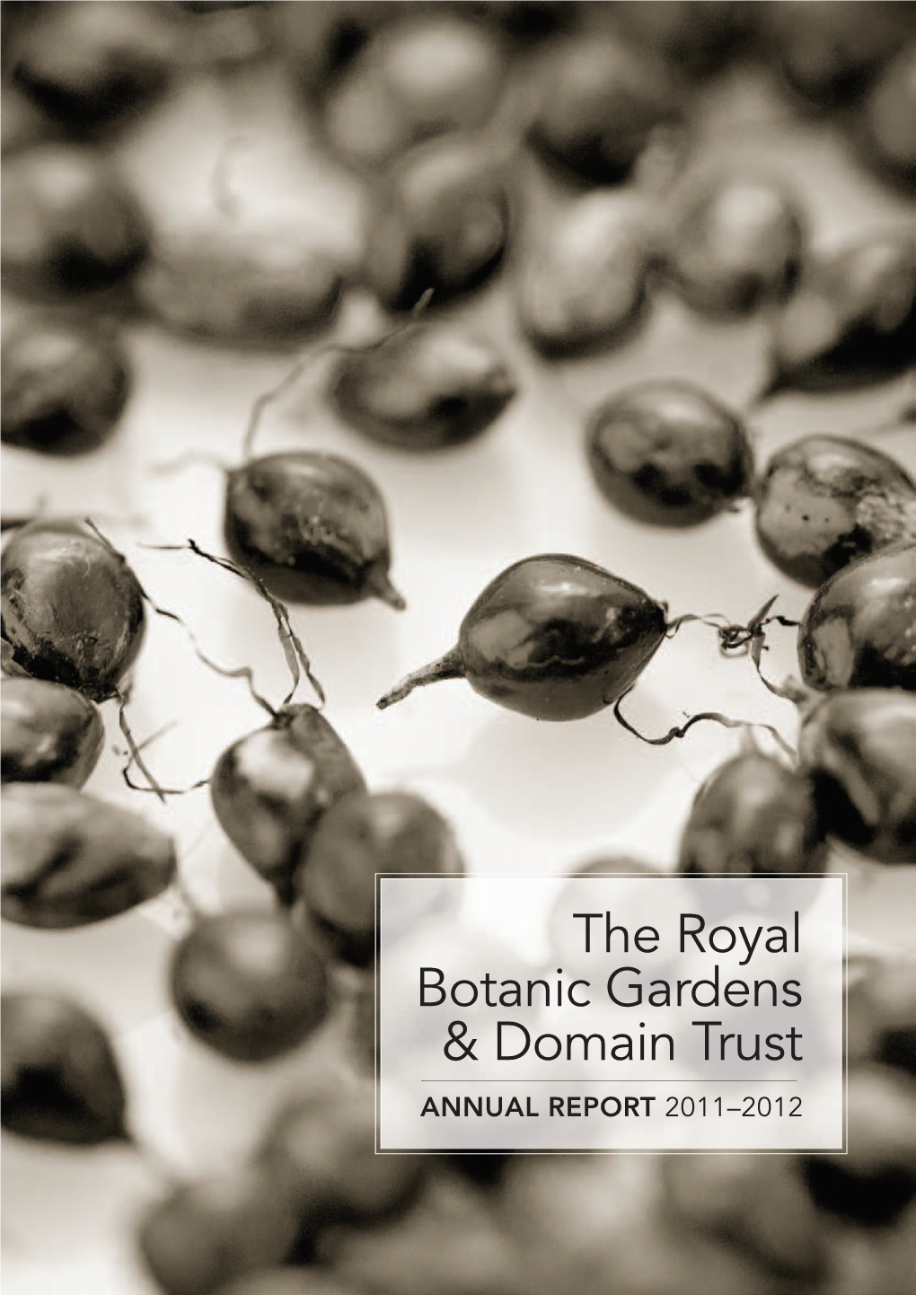 The Royal Botanic Gardens & Domain Trust
