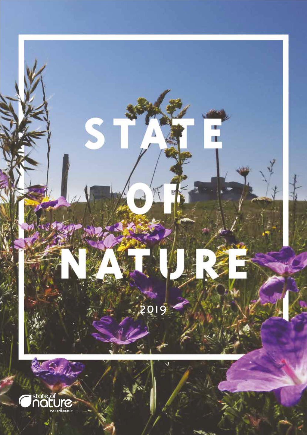 State of Nature 2019 Report (UK)