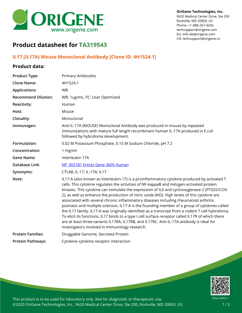 IL17 (IL17A) Mouse Monoclonal Antibody [Clone ID: 4H1524.1] Product Data