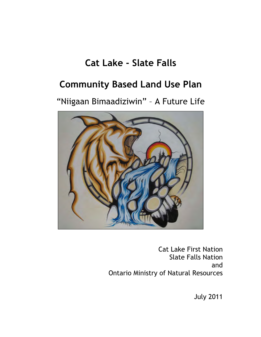 Cat Lake-Slate Falls Community Based Land Use Plan