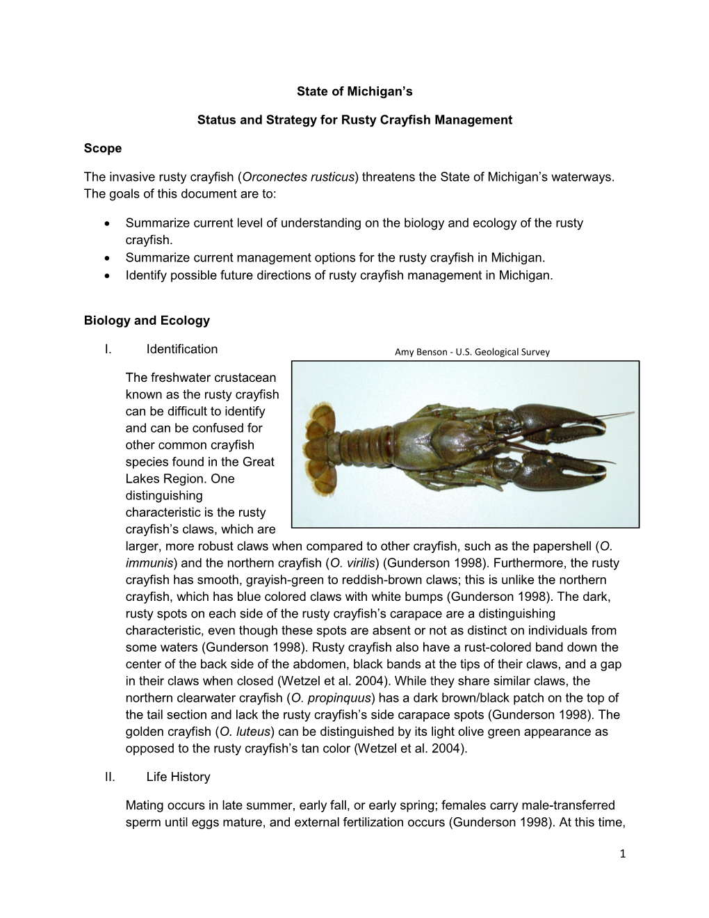 Rusty Crayfish (Orconectes Rusticus) Threatens the State of Michigan’S Waterways