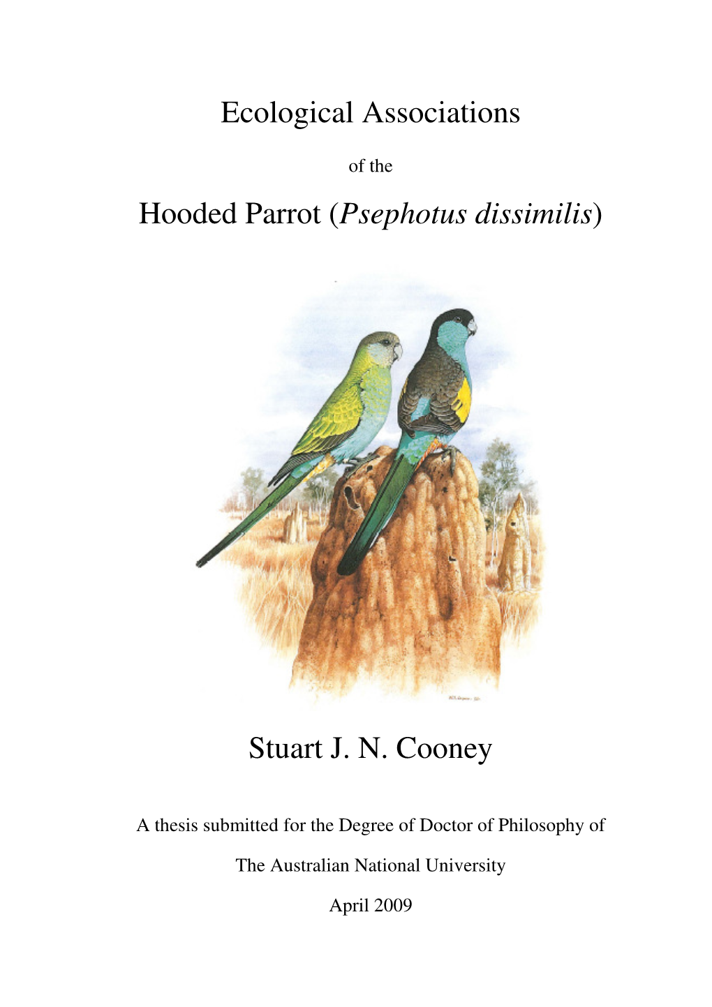 Hooded Parrot (Psephotus Dissimilis) Stuart JN Cooney