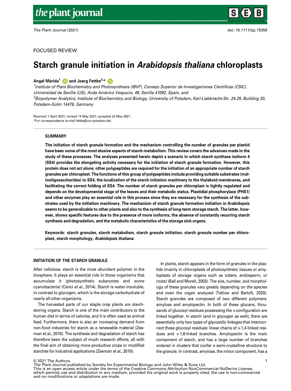 Starch Granule Initiation in Arabidopsis Thaliana Chloroplasts