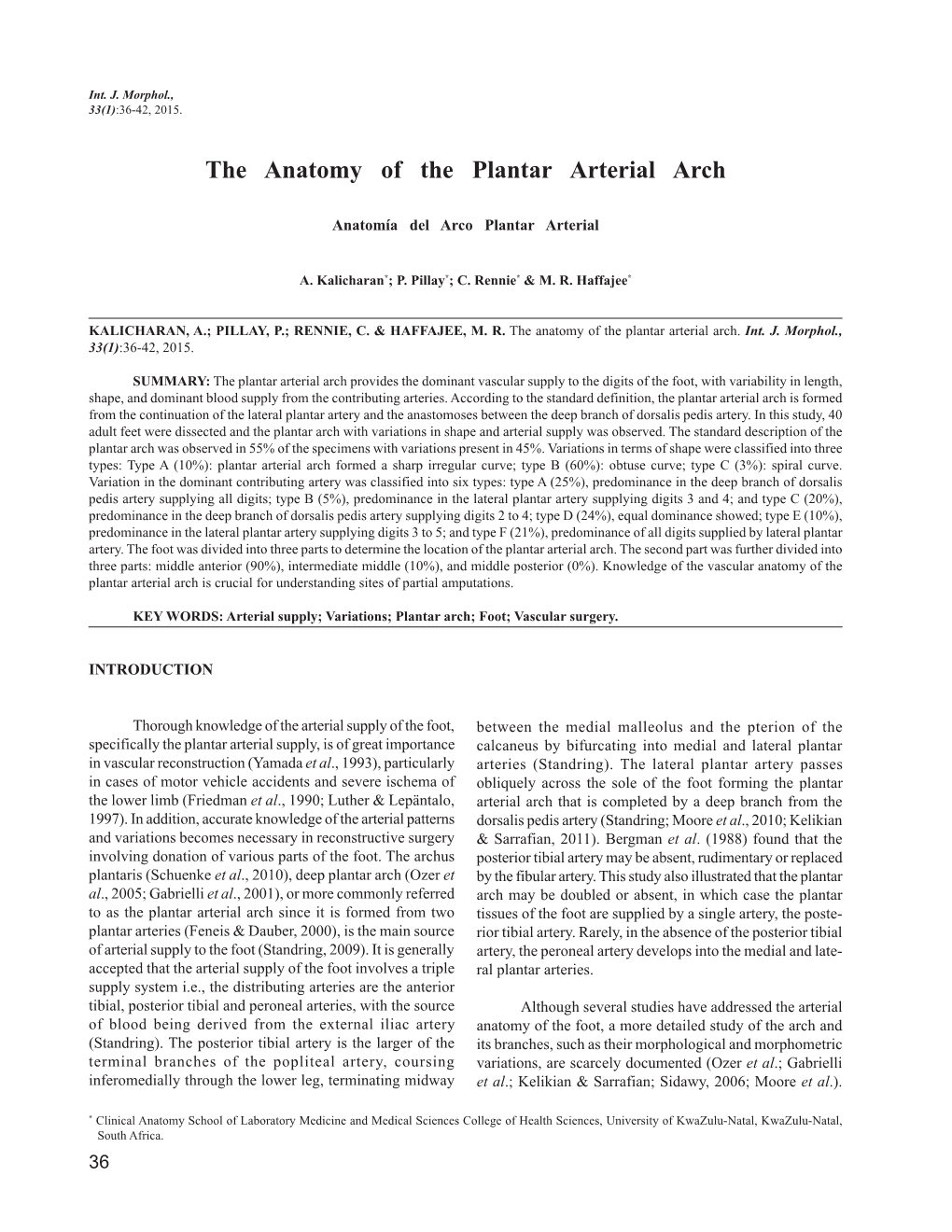 The Anatomy of the Plantar Arterial Arch