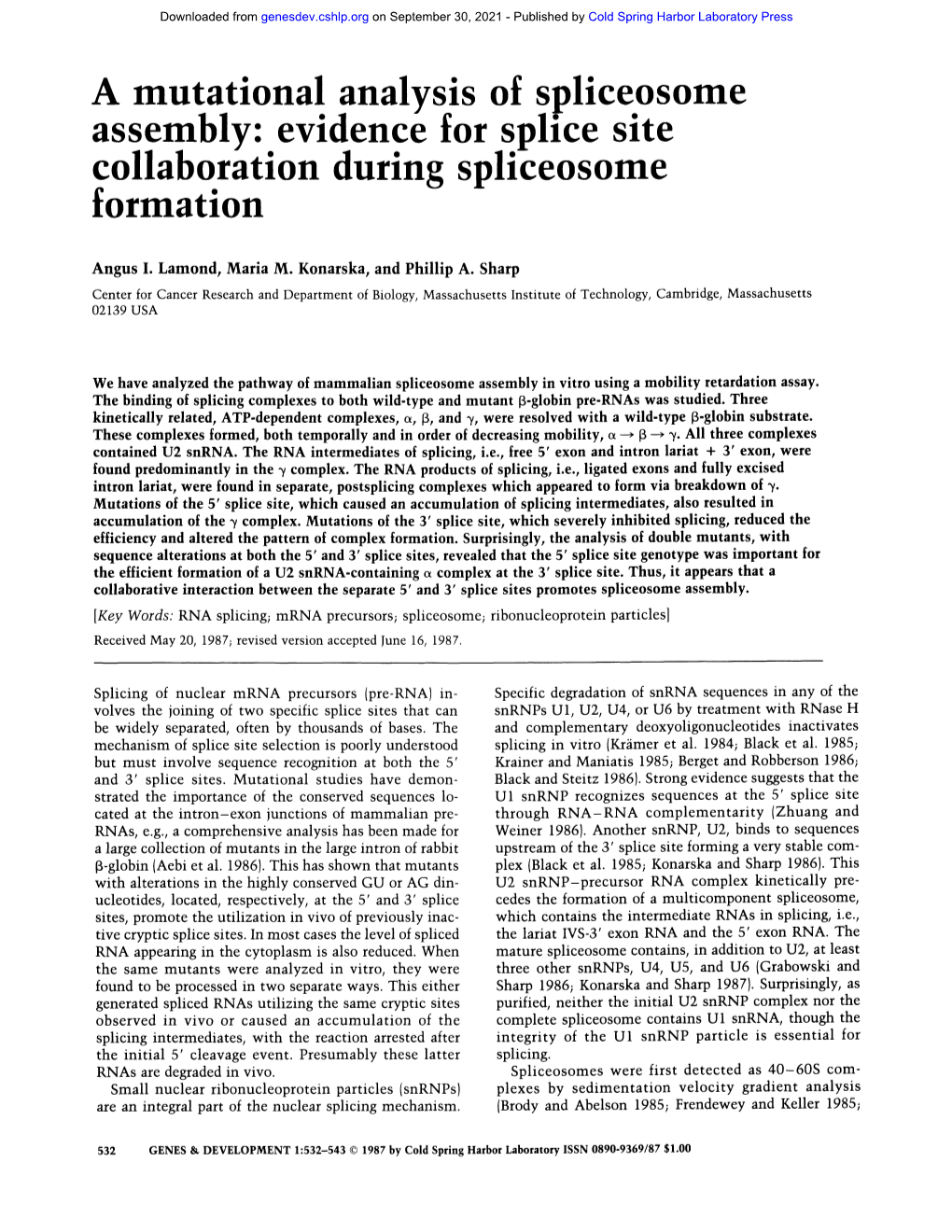 A Mutational Analysis of Spliceosome Assembly: Evidence for Splice Site Collaboration During Spliceosome Formation