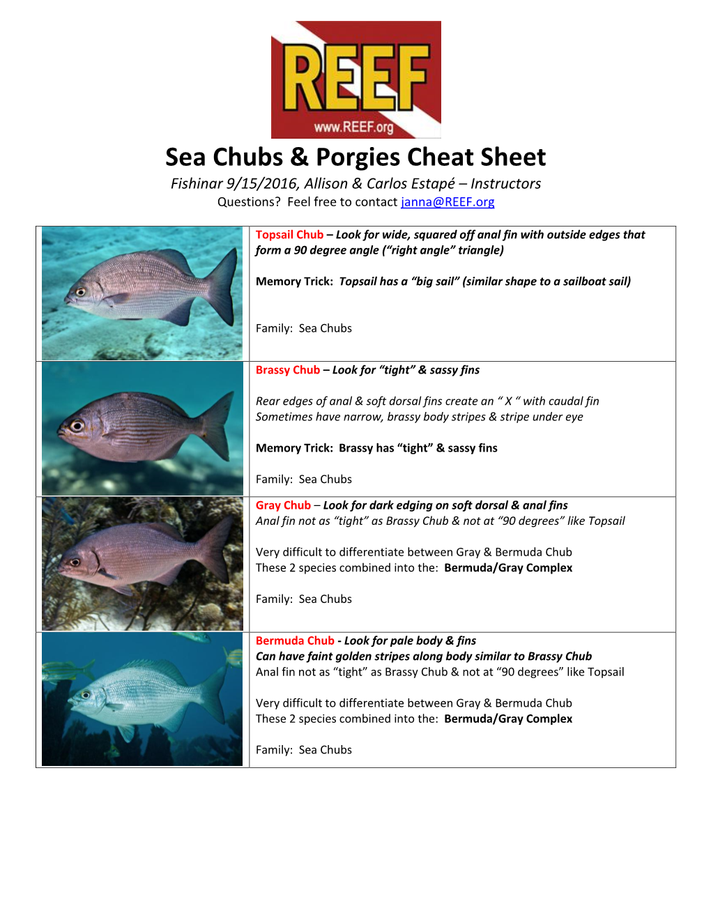 Sea Chubs & Porgies Cheat Sheet