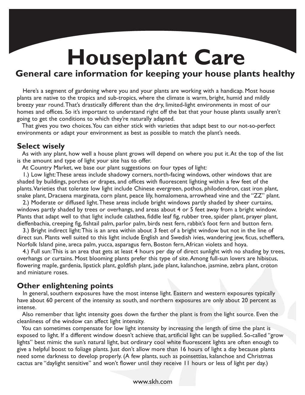 Houseplant Care General Care Information for Keeping Your House Plants Healthy