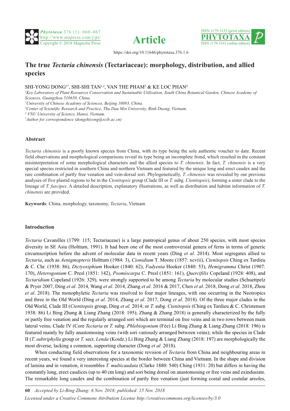 The True Tectaria Chinensis (Tectariaceae): Morphology, Distribution, and Allied Species