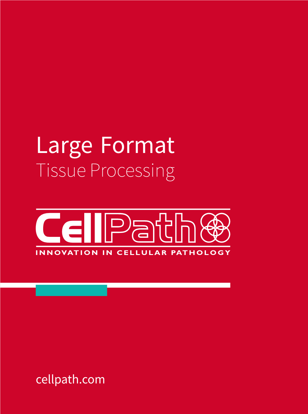 Large Format Tissue Processing