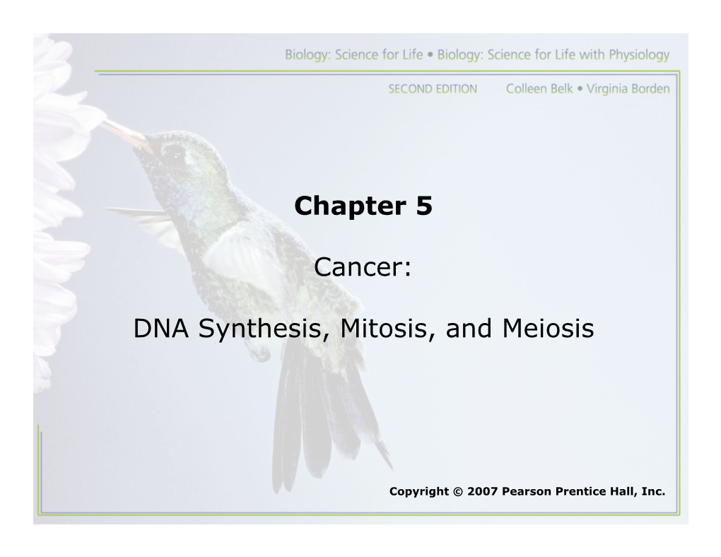 Chapter 5 Cancer: DNA Synthesis, Mitosis, and Meiosis