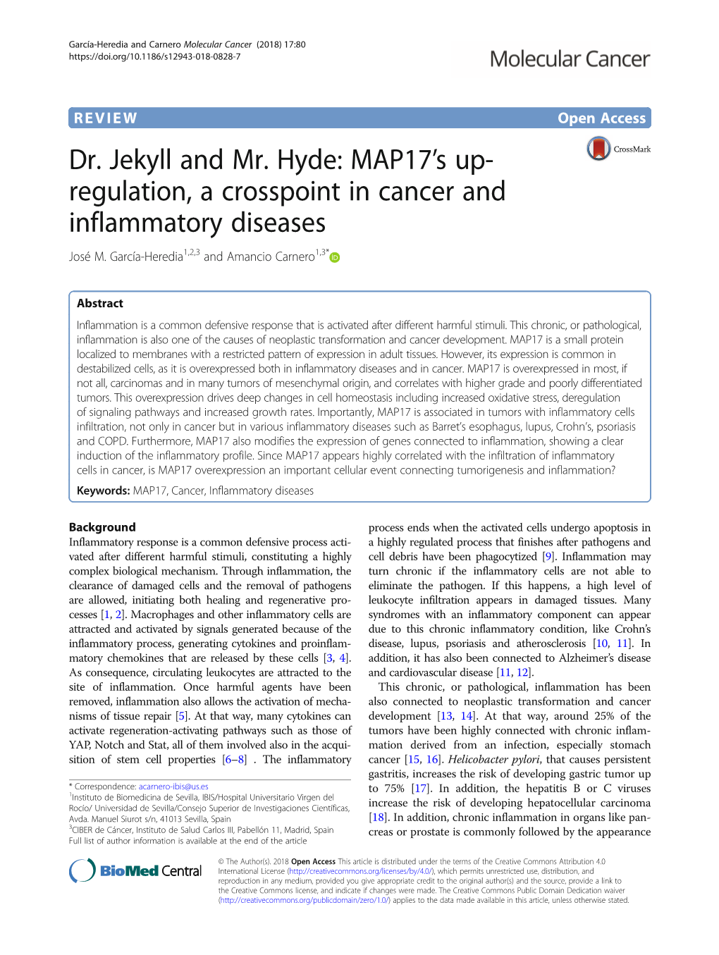 MAP17's Up-Regulation, a Crosspoint in Cancer and Inflammatory