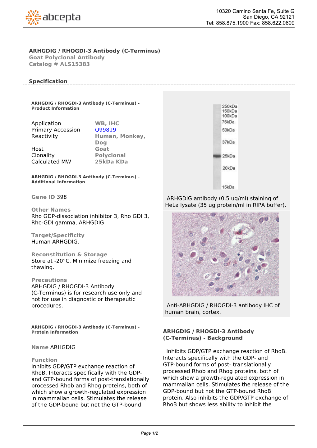 ARHGDIG / RHOGDI-3 Antibody (C-Terminus) Goat Polyclonal Antibody Catalog # ALS15383