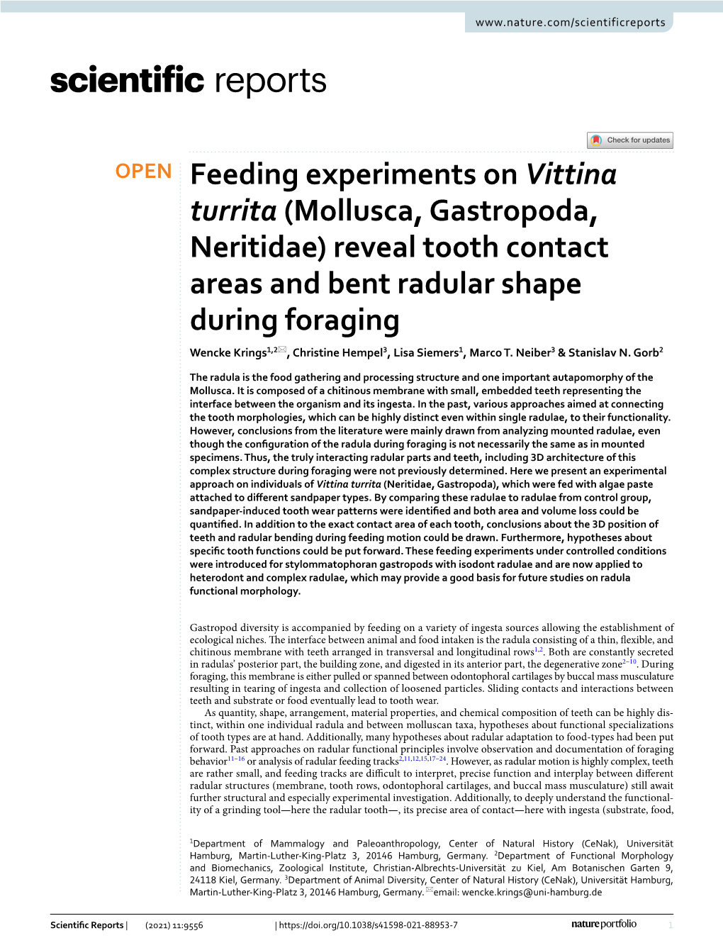 Feeding Experiments on Vittina Turrita (Mollusca, Gastropoda, Neritidae) Reveal Tooth Contact Areas and Bent Radular Shape Durin