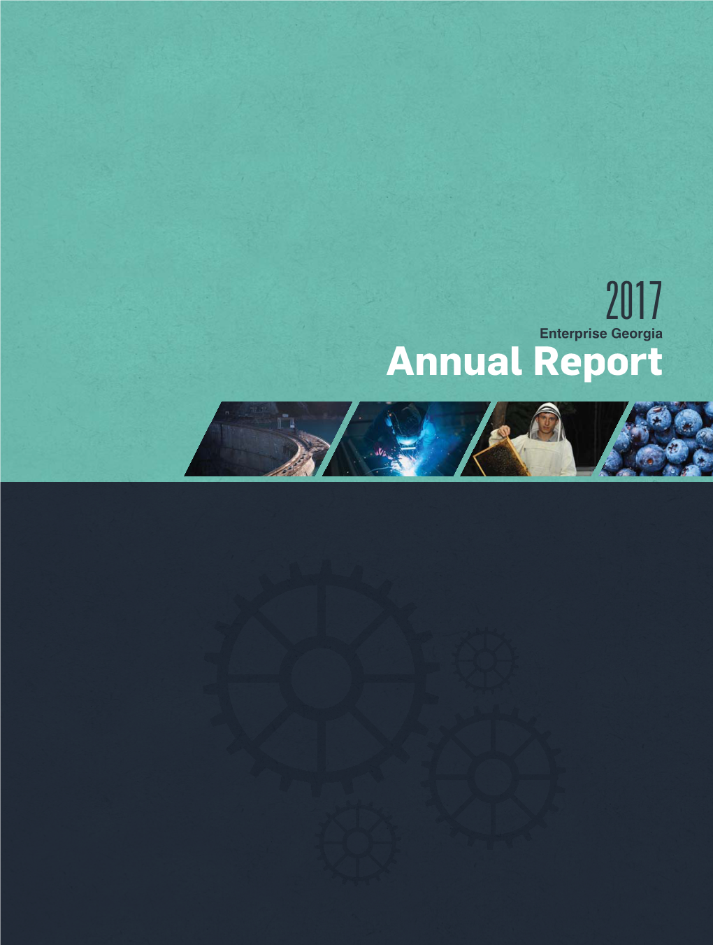 Annual Report 2017 Nata.Indd