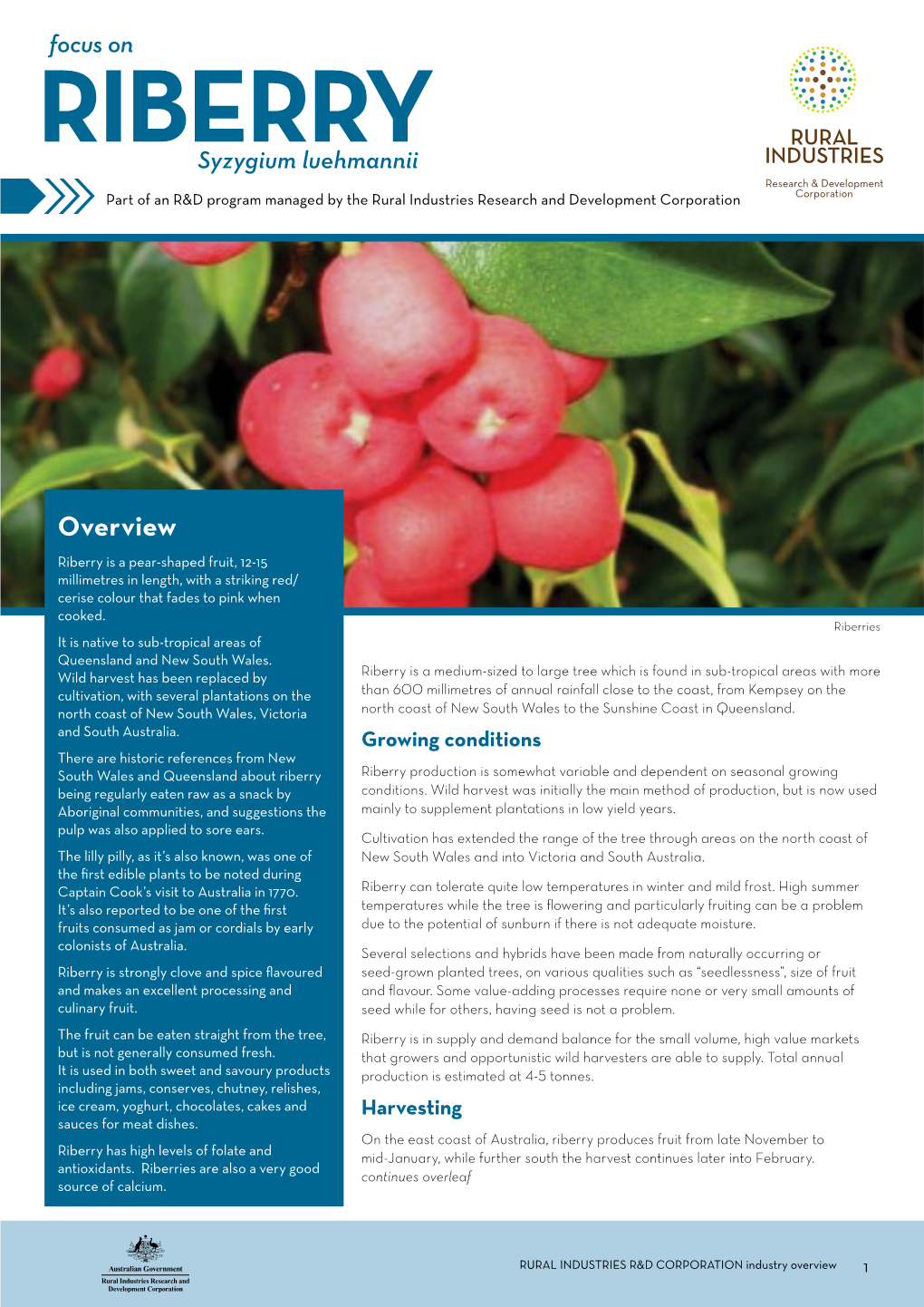 Rural Industries R&D Corporation Factsheet: Riberry