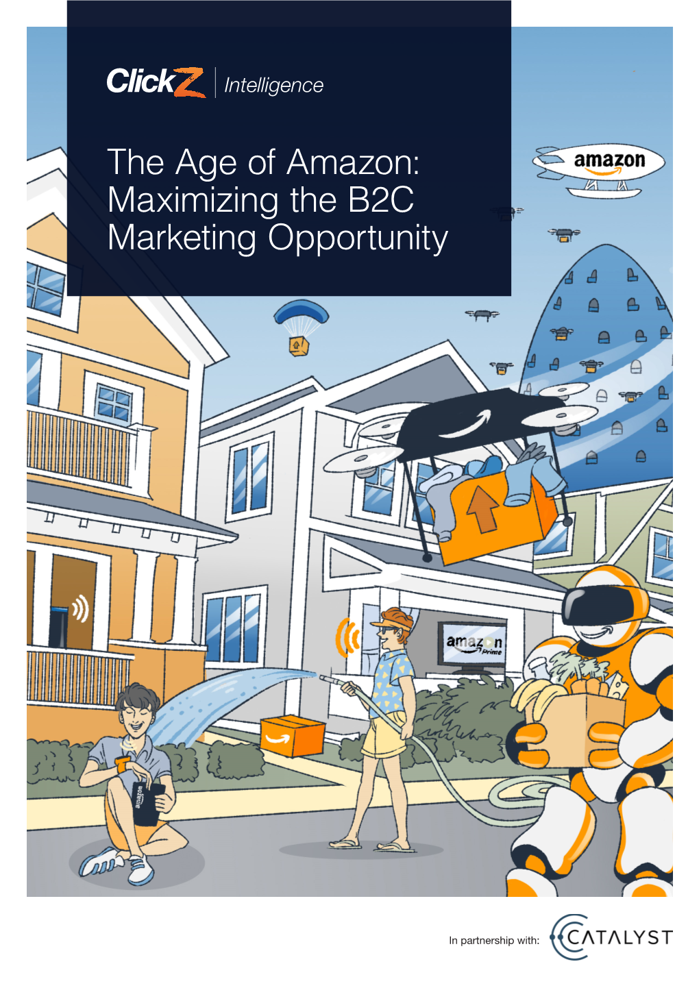 The Age of Amazon: Maximizing the B2C Marketing Opportunity