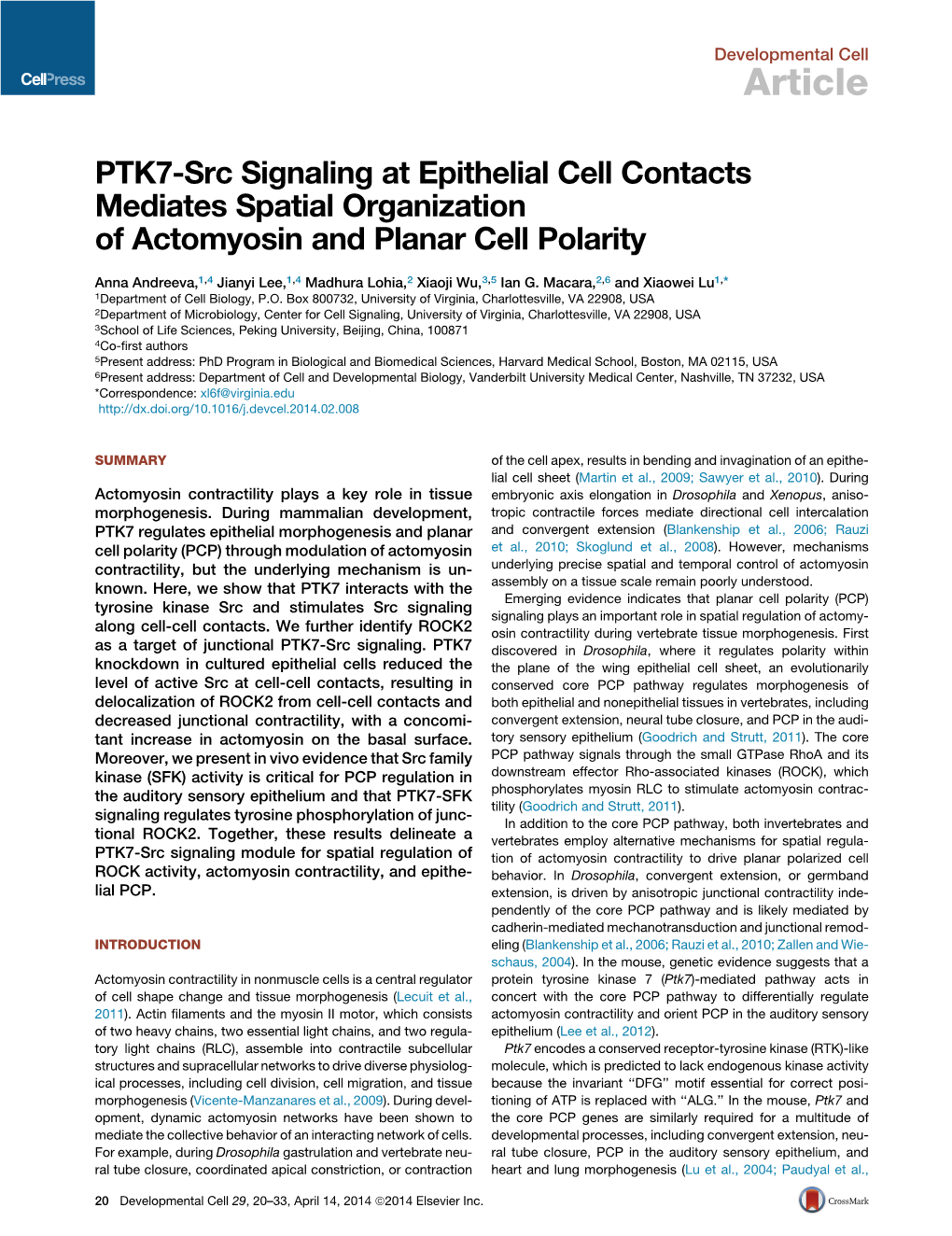 PTK7-Src Signaling at Epithelial Cell Contacts Mediates Spatial Organization of Actomyosin and Planar Cell Polarity
