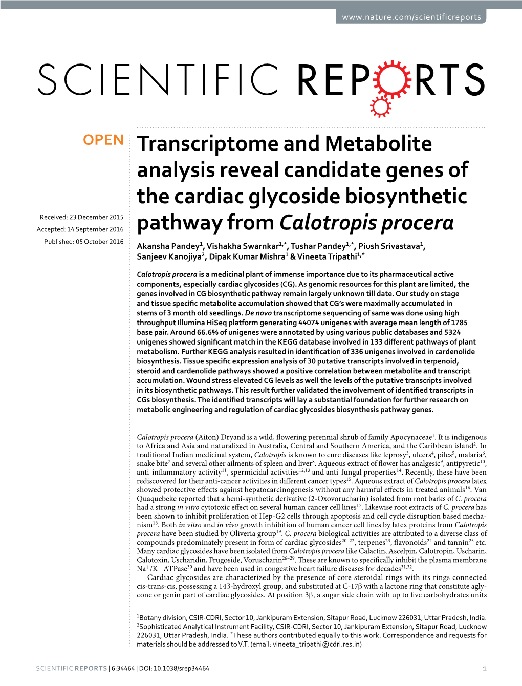 Transcriptome and Metabolite Analysis Reveal Candidate Genes Of