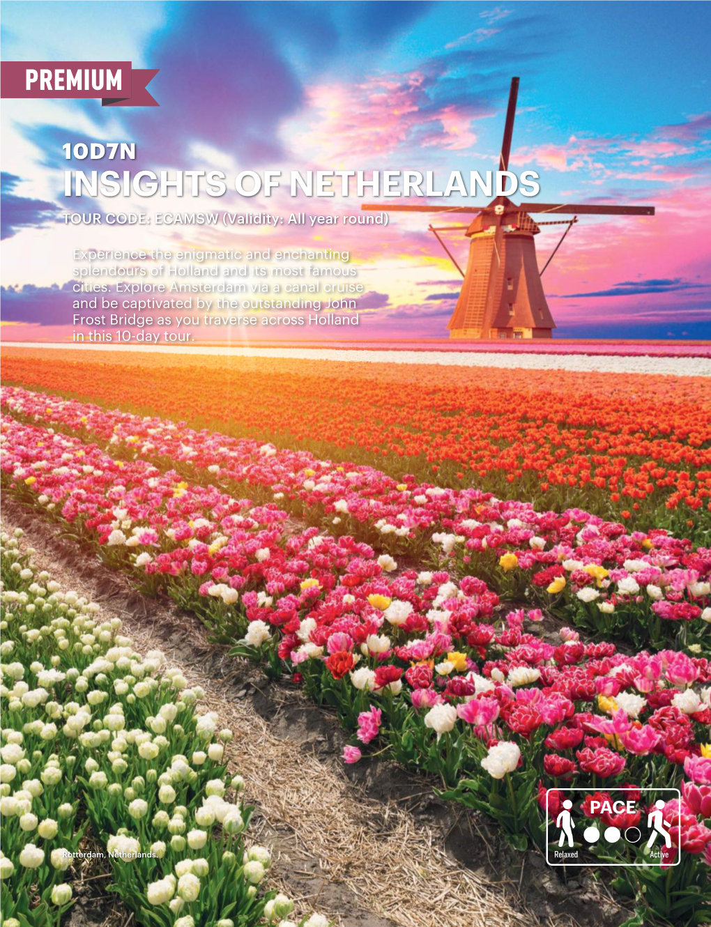 Pg 43 45 Insights of Netherlands.Ai