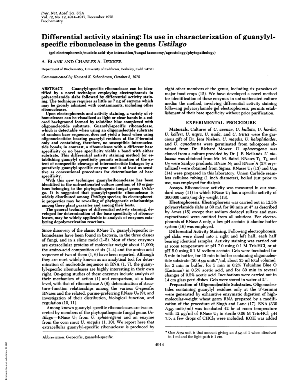 Differential Activity Staining