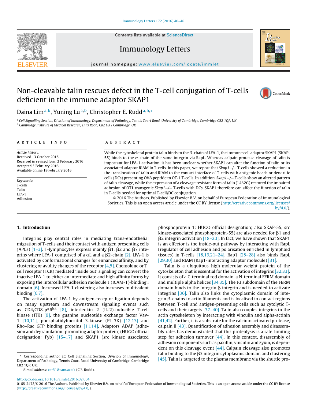 Non-Cleavable Talin Rescues Defect in the T-Cell Conjugation of T-Cells