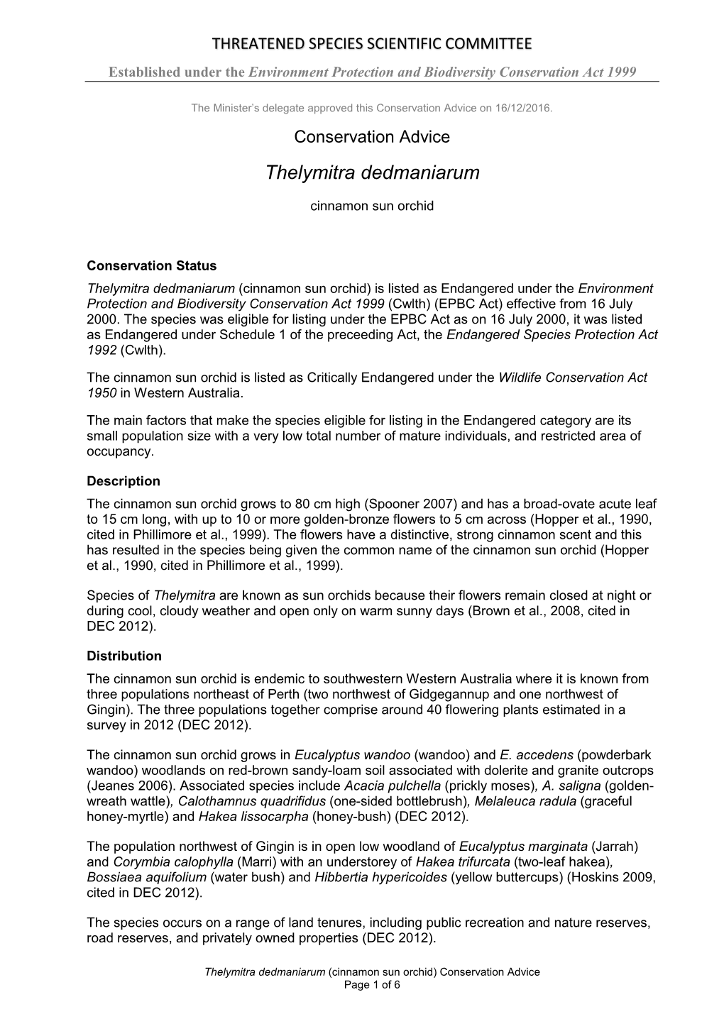 Conservation Advice Thelymitra Dedmaniarum Cinnamon Sun Orchid