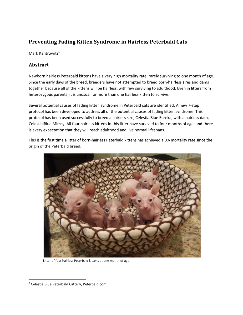 Preventing Fading Kitten Syndrome in Hairless Peterbald Cats