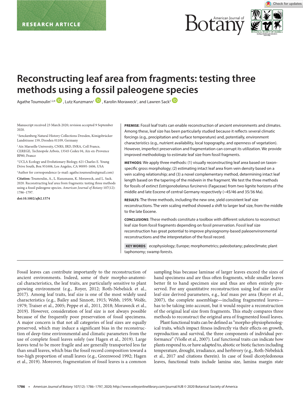 Reconstructing Leaf Area from Fragments: Testing Three Methods Using a Fossil Paleogene Species