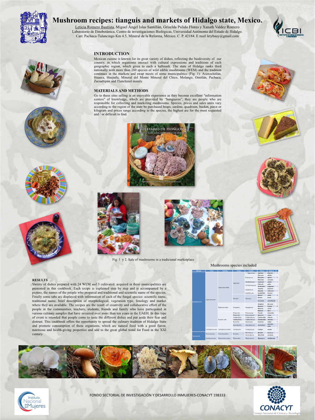 Mushroom Recipes: Tianguis and Markets of Hidalgo State, Mexico
