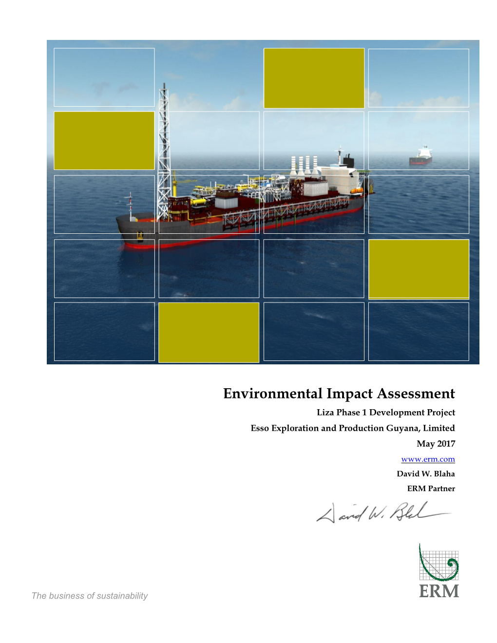 Environmental Impact Assessment for Liza Phase 1