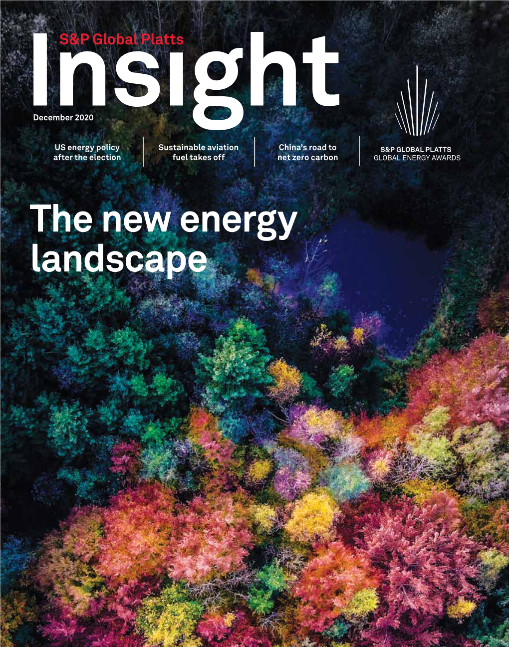 The New Energy Landscape Insight