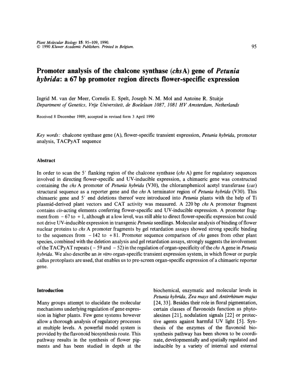 Promoter Analysis of the Chalcone Synthase ( <Emphasis Type=