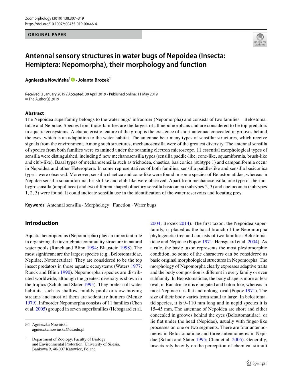 Antennal Sensory Structures in Water Bugs of Nepoidea (Insecta: Hemiptera: Nepomorpha), Their Morphology and Function