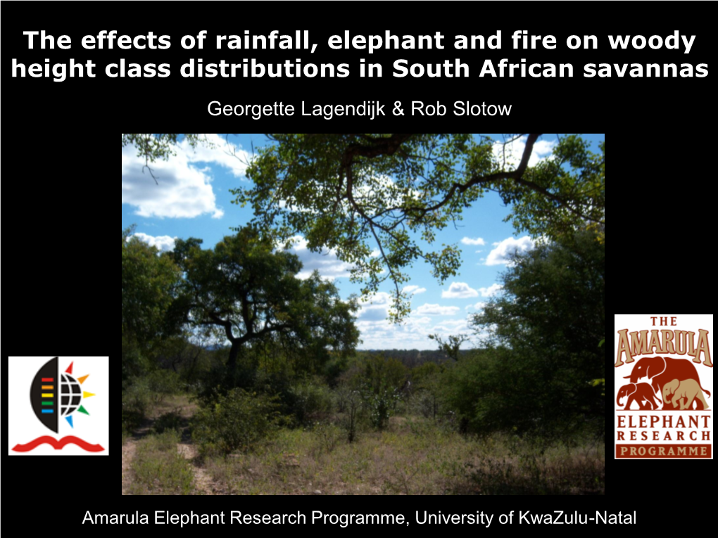 The Effects of Rainfall, Elephant and Fire on Woody Height Class Distributions in South African Savannas Georgette Lagendijk & Rob Slotow