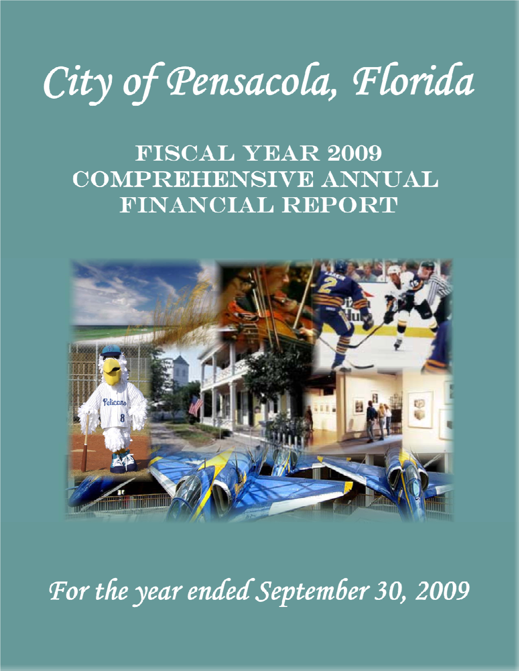 2009 Comprehensive Annual Financial Report