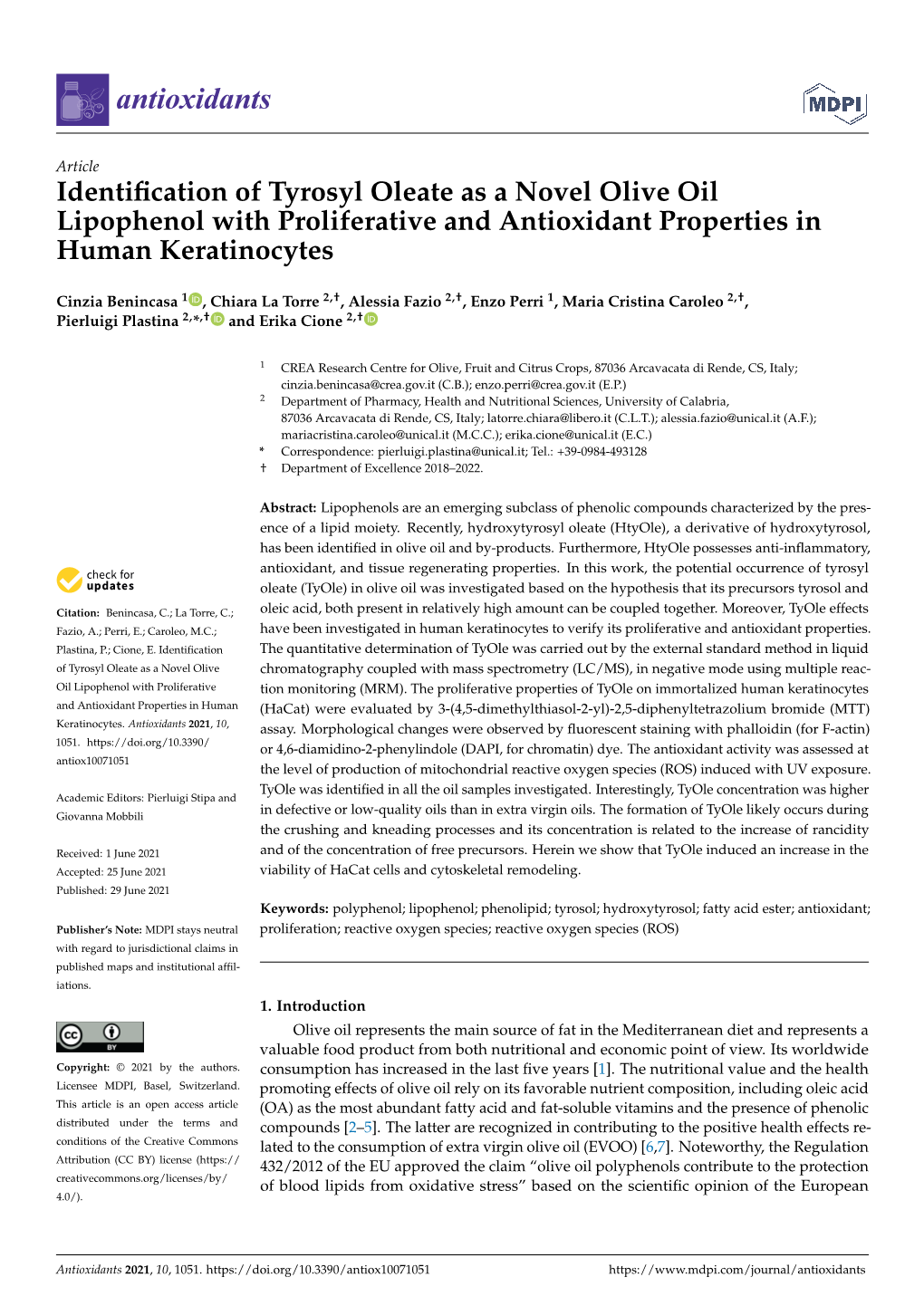 Identification of Tyrosyl Oleate As a Novel Olive Oil Lipophenol With