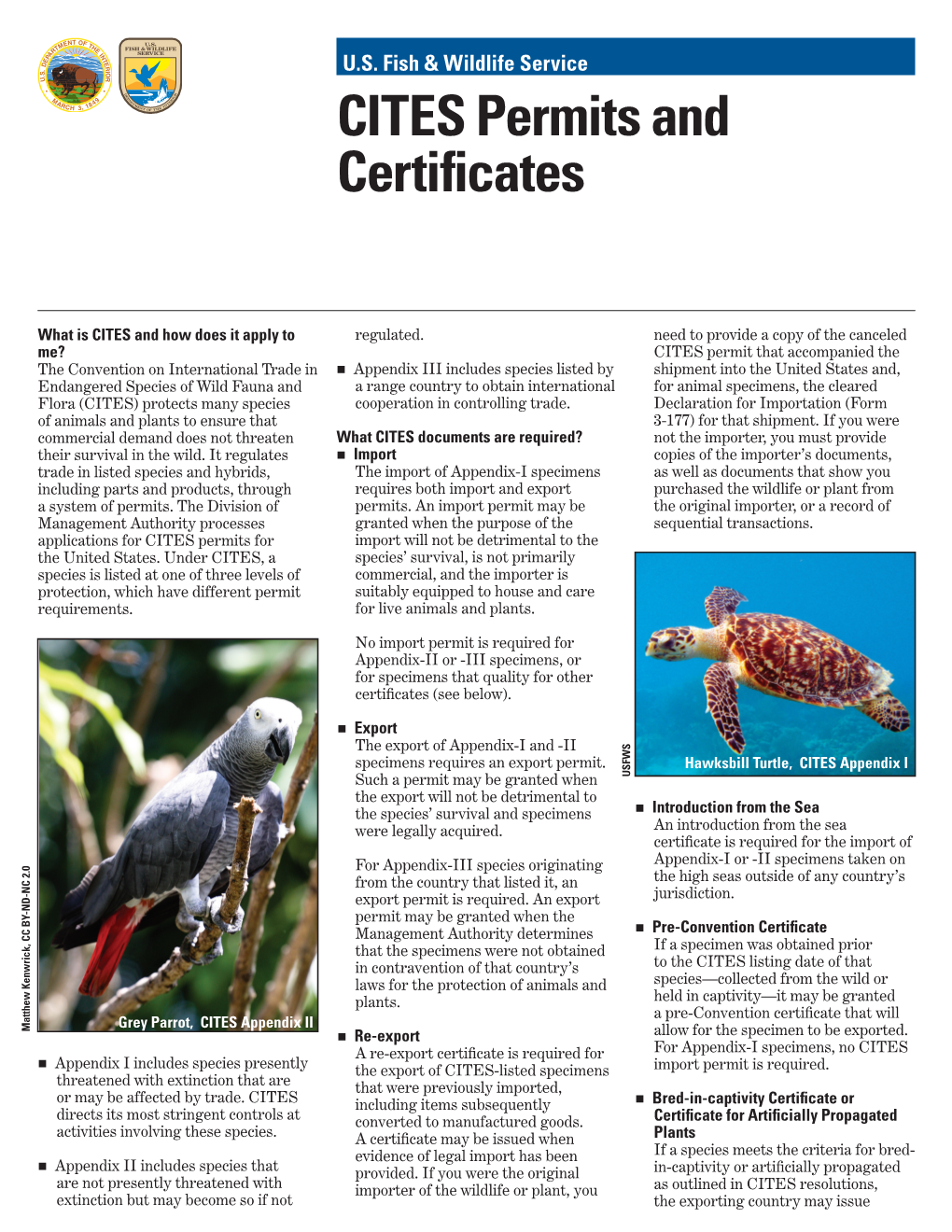 CITES Permits and Certificates