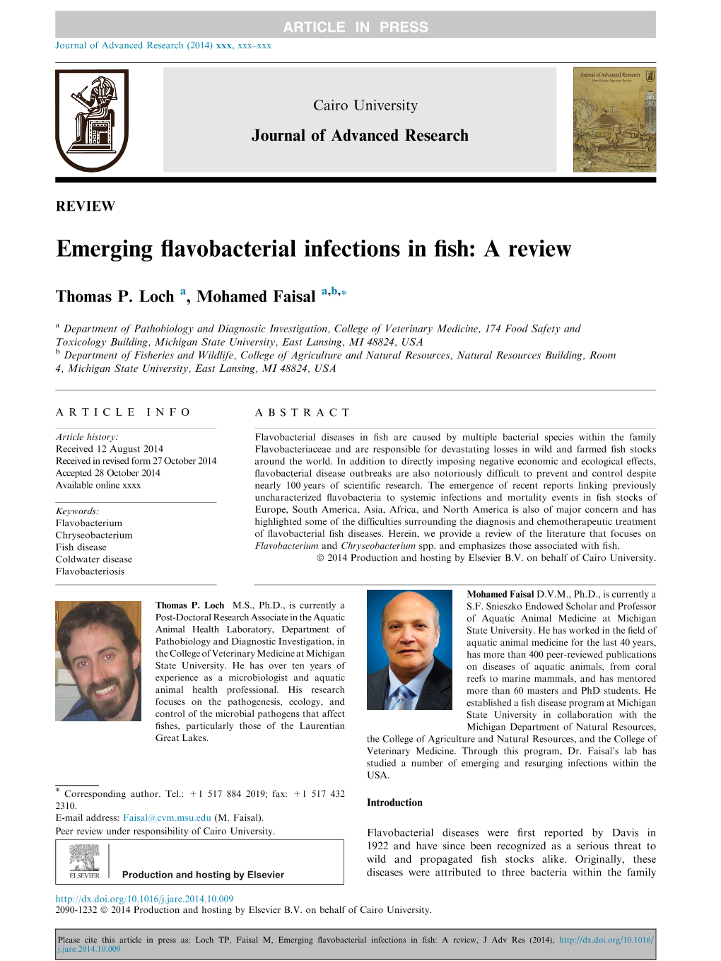 Emerging Flavobacterial Infections in Fish