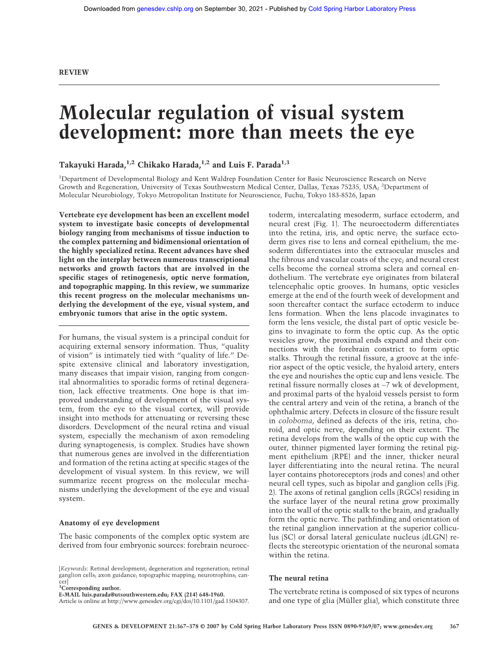 Molecular Regulation of Visual System Development: More Than Meets the Eye