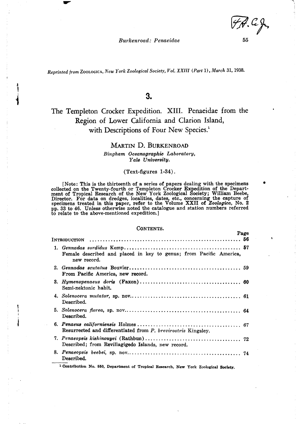 The Templeton Crocker Expedition. XIII. Penaeidae from the Region of Lower California and Clarion Island, with Descriptions of Four New Species.1