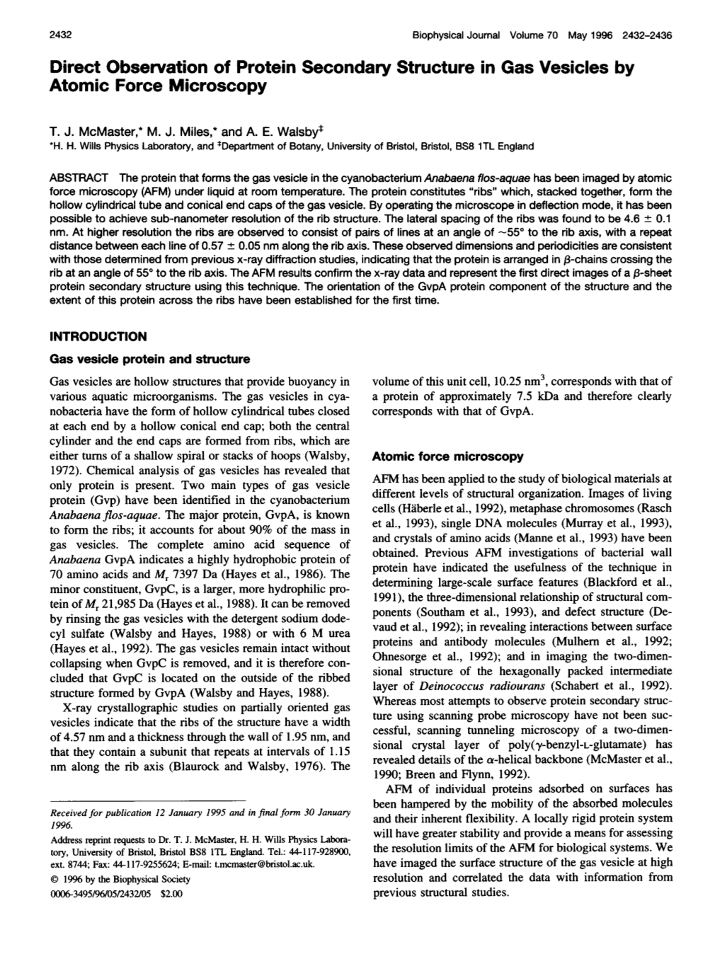 Direct Observation of Protein Secondary Structure in Gas Vesicles by Atomic Force Microscopy