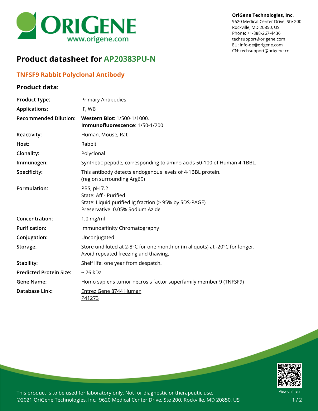 TNFSF9 Rabbit Polyclonal Antibody – AP20383PU-N | Origene