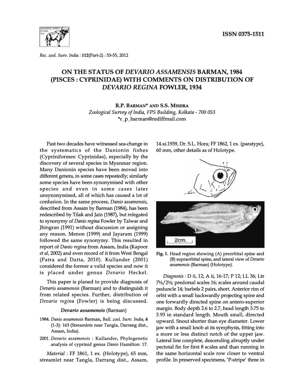 On the Status of Devario Assamensis Barman, 1984 (Pisces: Cyprinidae) with Comments on Distribution of Devarid Regina Fowler, 1934