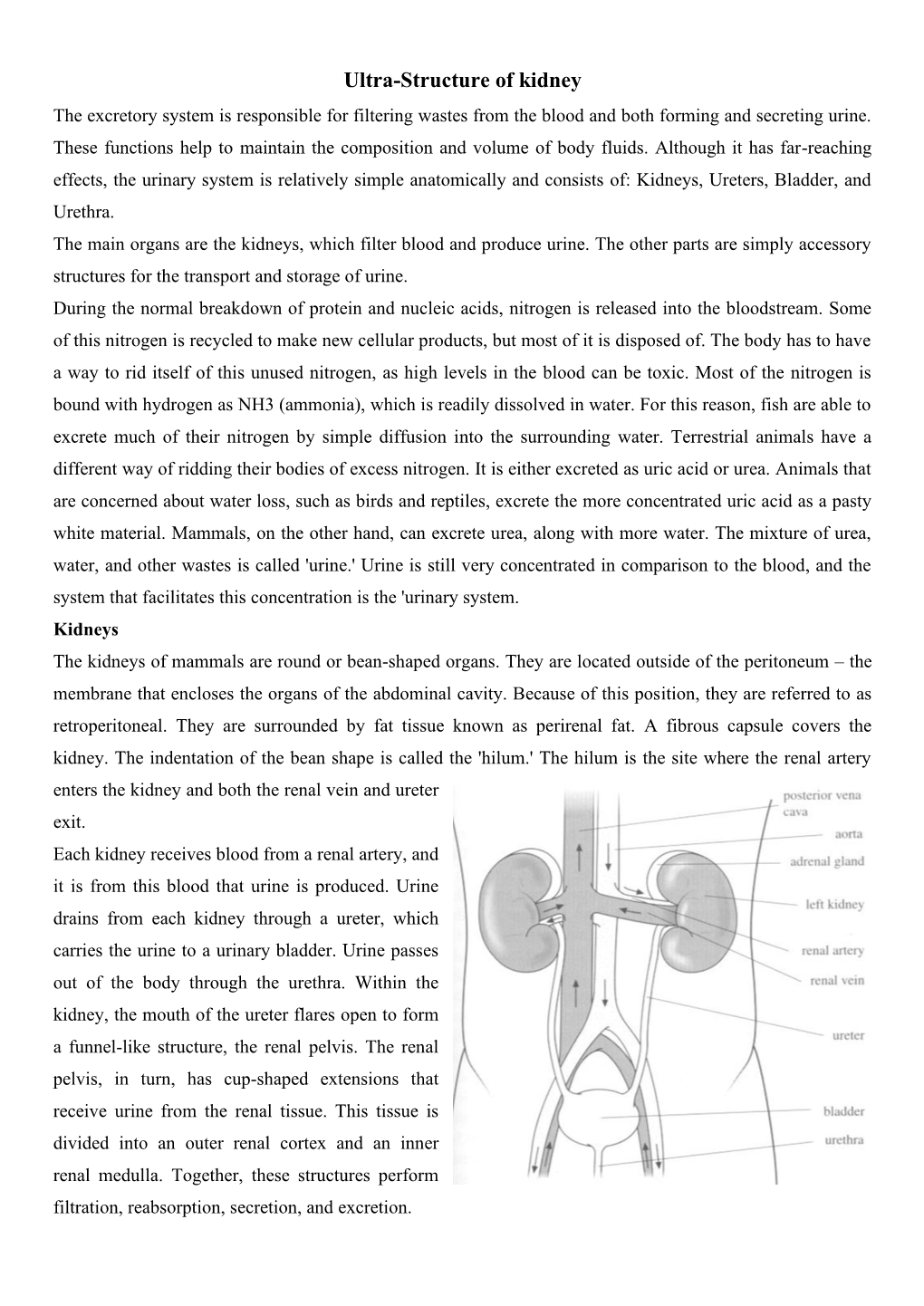 Ultra-Structure of Kidney the Excretory System Is Responsible for Filtering Wastes from the Blood and Both Forming and Secreting Urine