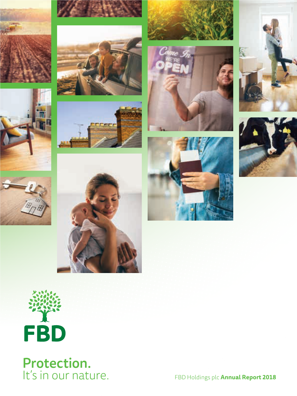 FBD Holdings Annual Report 2018